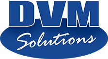 DVM Solutions